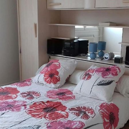 T4/5 Avec Vue Sur Les Alpes A 5 Minutes De Lyon Apartment La Mulatiere Ngoại thất bức ảnh