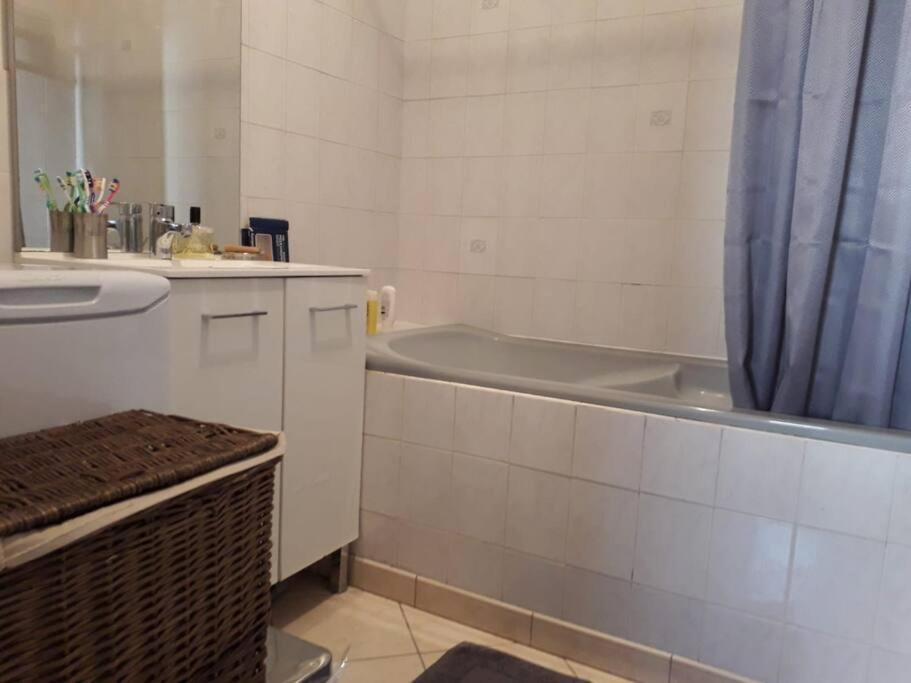 T4/5 Avec Vue Sur Les Alpes A 5 Minutes De Lyon Apartment La Mulatiere Ngoại thất bức ảnh
